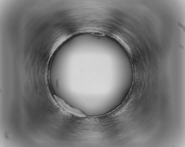 X0000096160901200802081431