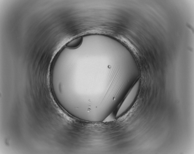 X0000096160902200802081431