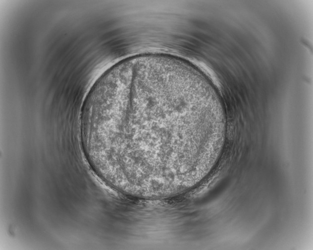 X0000096160903200802081431