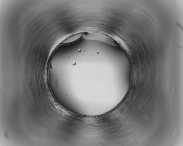 X0000096160904200802081431