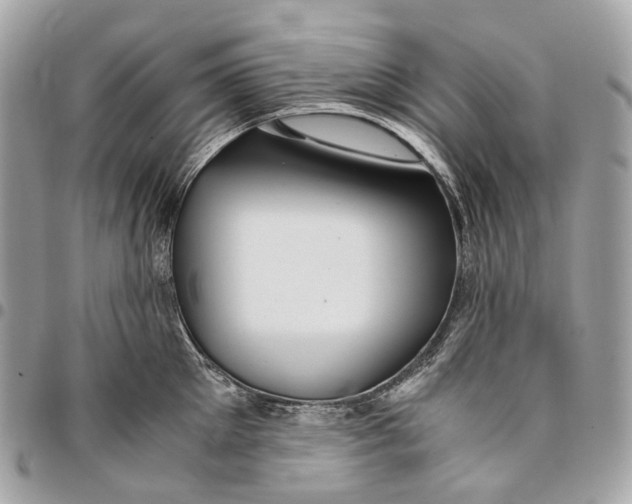 X0000096160905200802081431