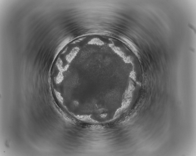 X0000096160907200802081431