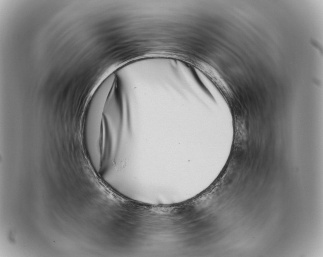 X0000096160908200802081431