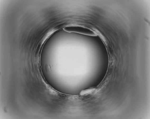 X0000096160909200802081431