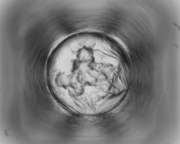 X0000096160910200802081431