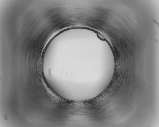 X0000096160911200802081431