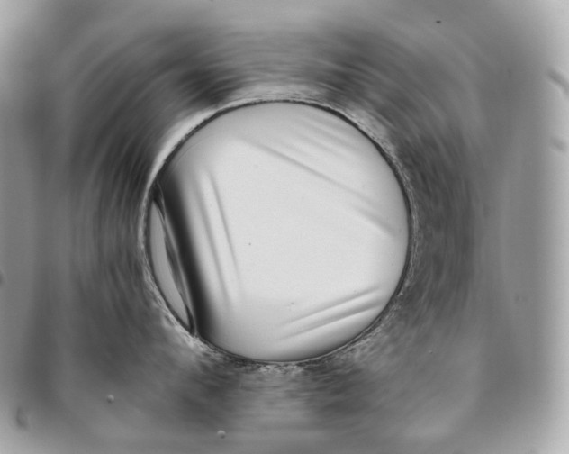 X0000096160912200802081431