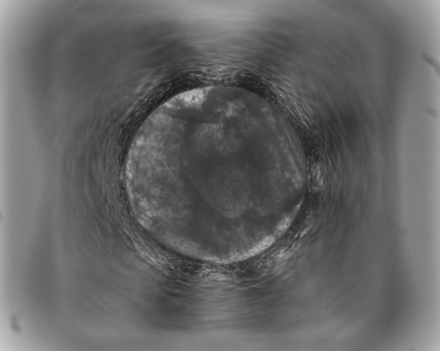 X0000096160913200802081430