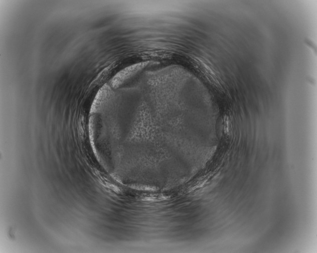 X0000096160915200802081430