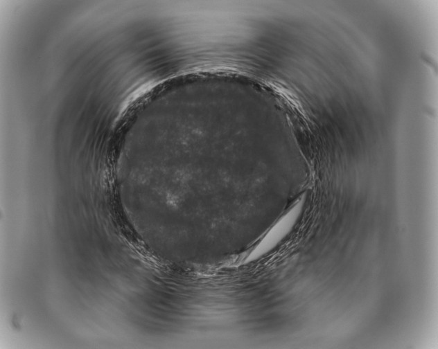 X0000096160920200802081430