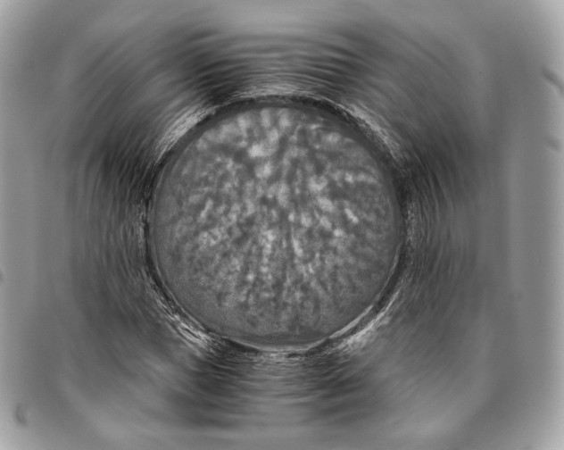 X0000096160921200802081430