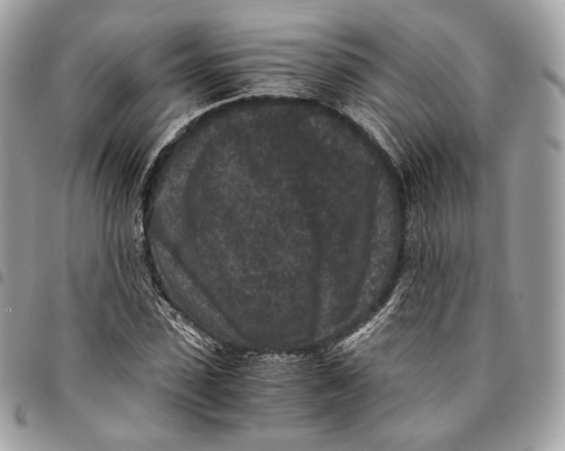 X0000096160923200802081430