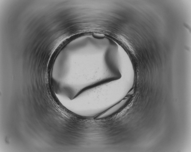 X0000096160924200802081430