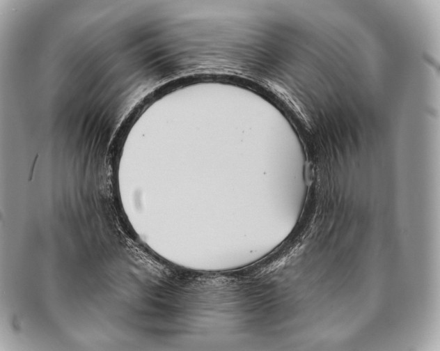 X0000096160926200802081431