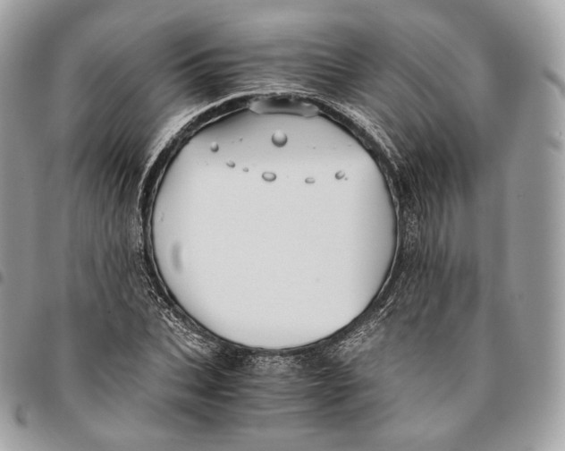 X0000096160927200802081431