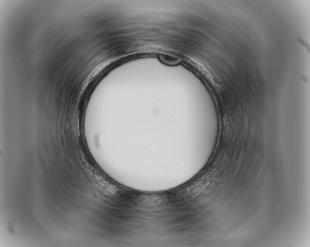 X0000096160931200802081431