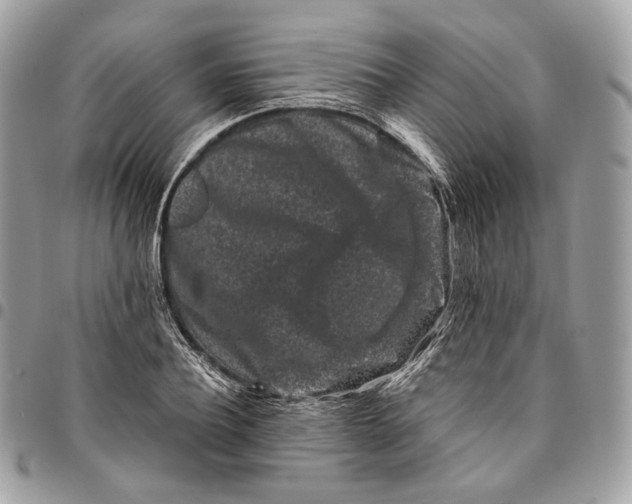 X0000096160932200802081431