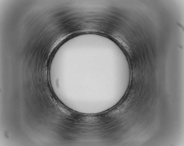 X0000096160933200802081431