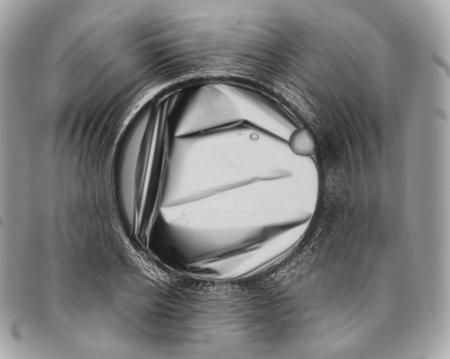 X0000096160934200802081431