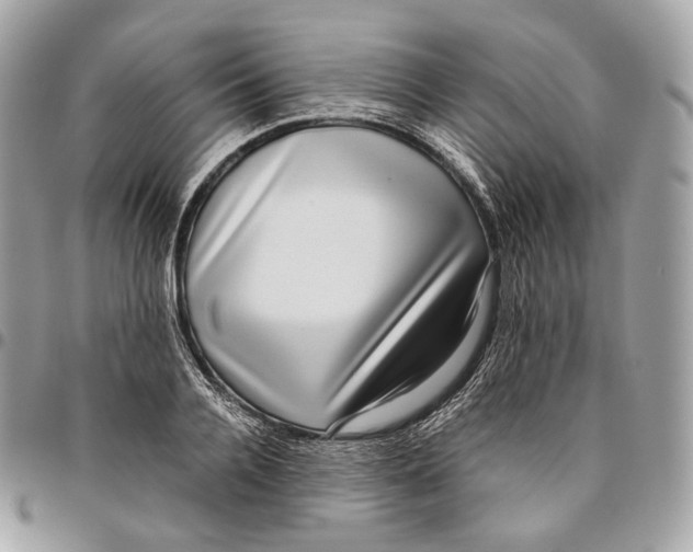 X0000096160936200802081431