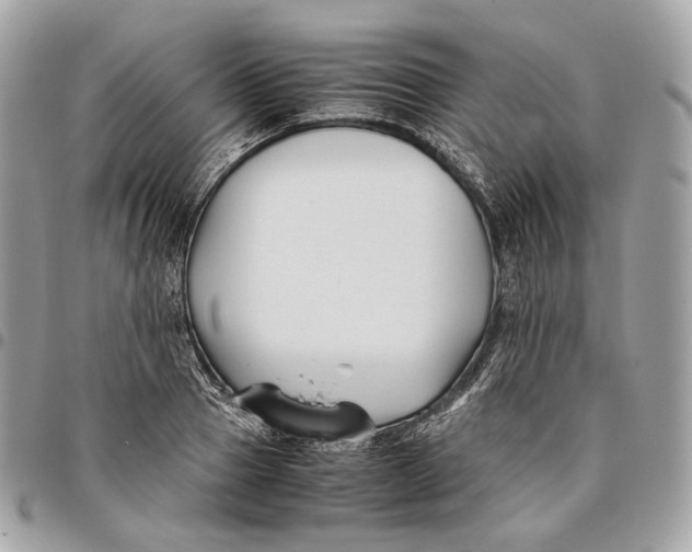 X0000096160937200802081431