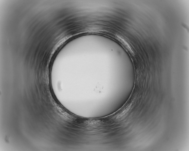 X0000096160939200802081431