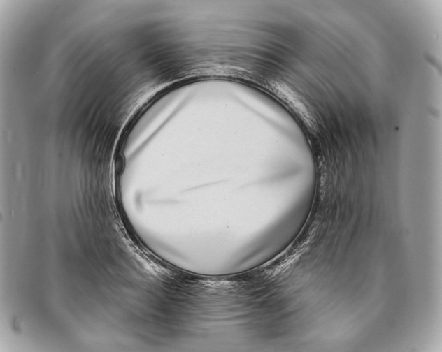 X0000096160940200802081431