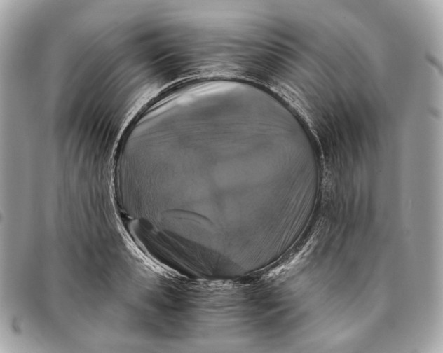 X0000096160941200802081431