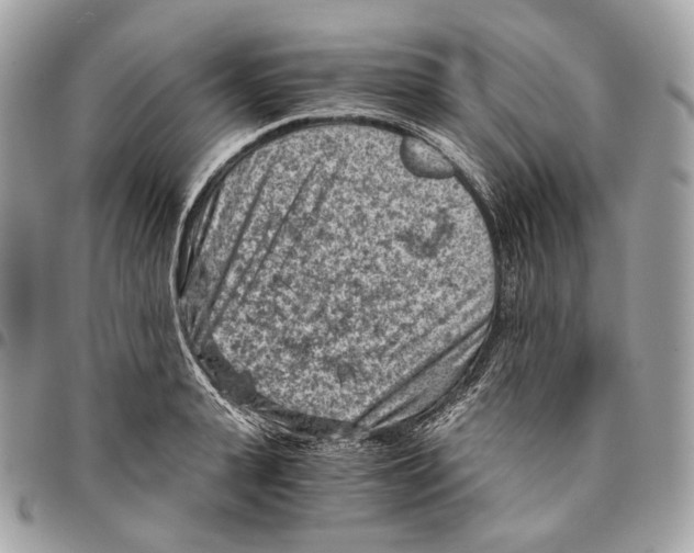 X0000096160943200802081431