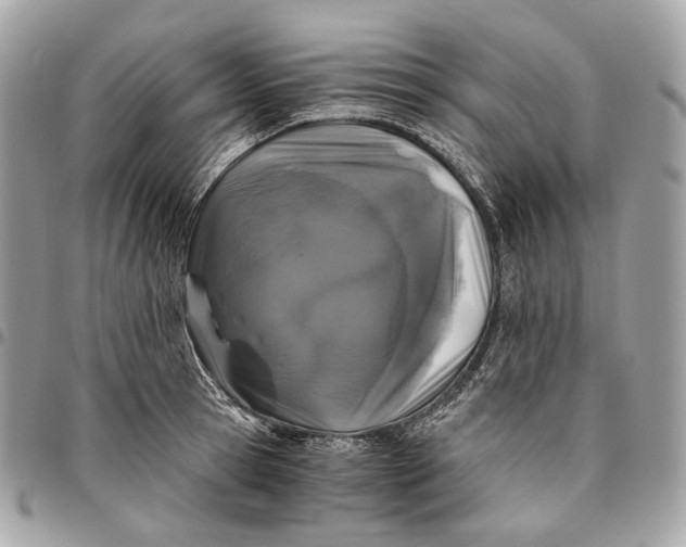 X0000096160945200802081431