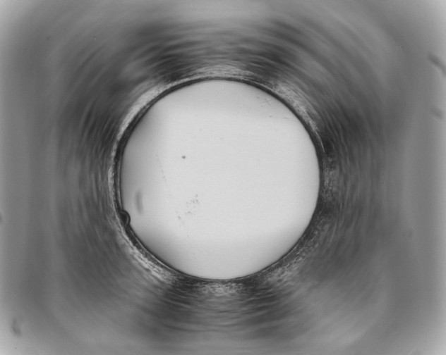 X0000096160947200802081431