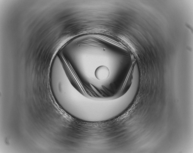 X0000096160948200802081431