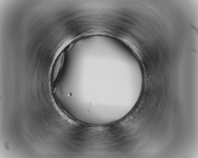 X0000096160949200802081431