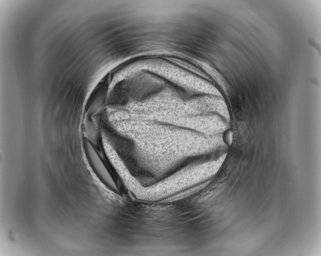 X0000096160951200802081431