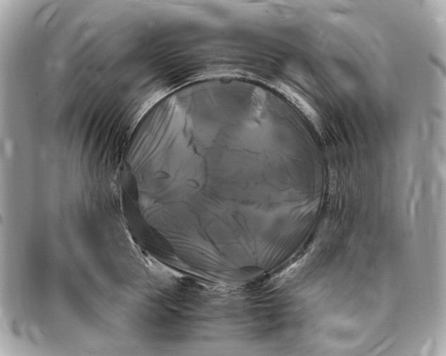 X0000096160953200802081431