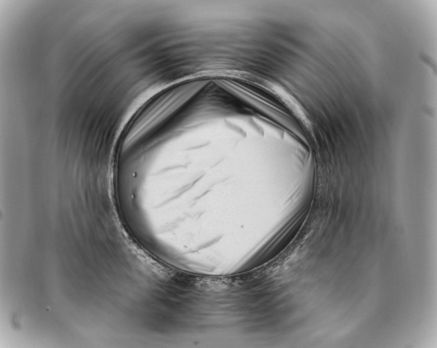 X0000096160955200802081431