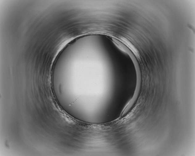 X0000096160956200802081431