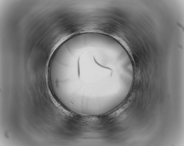 X0000096160957200802081431