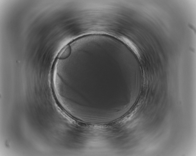 X0000096160958200802081431