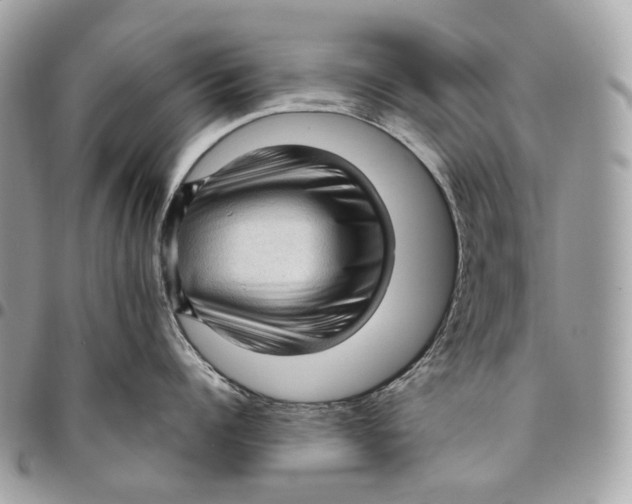 X0000096160960200802081431