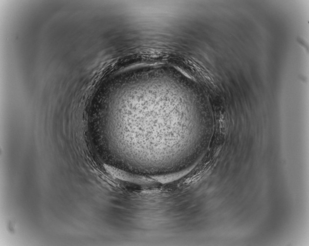 X0000096160961200802081430