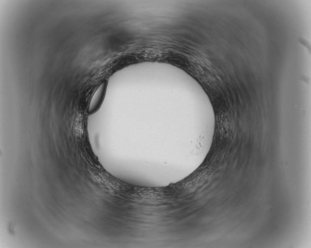 X0000096160962200802081430