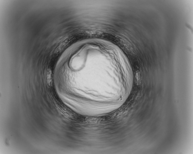 X0000096160963200802081430