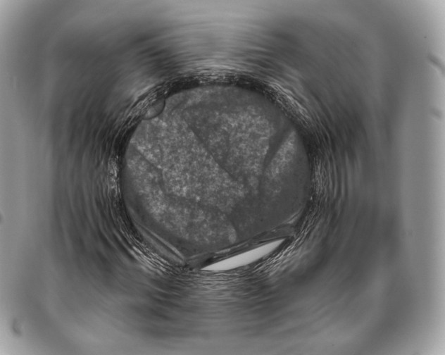 X0000096160964200802081430