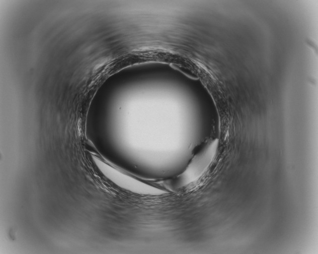 X0000096160965200802081430