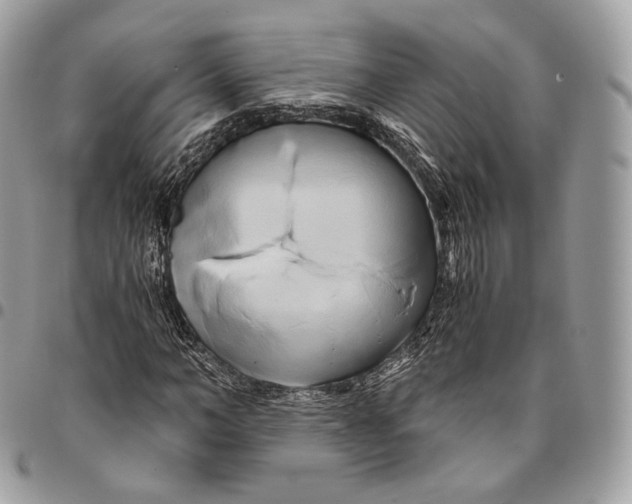 X0000096160966200802081430