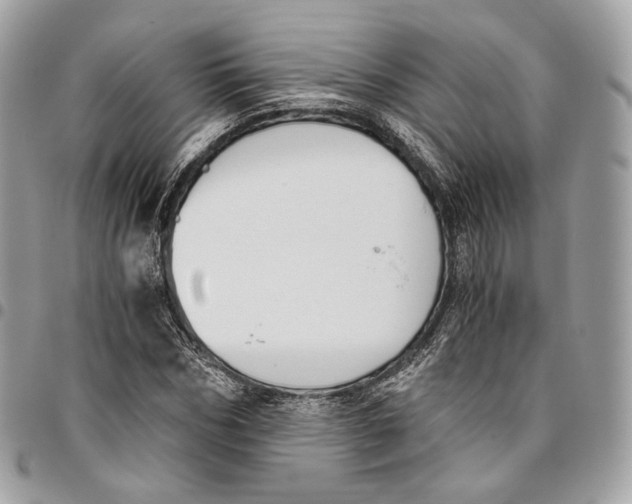 X0000096160970200802081430