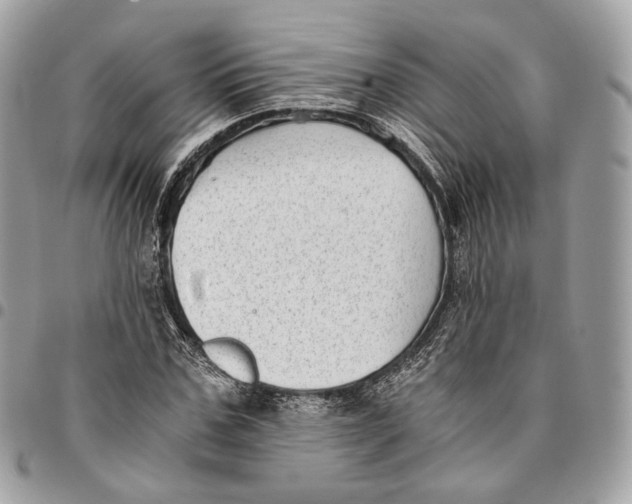 X0000096160971200802081430