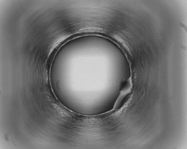 X0000096160973200802081430