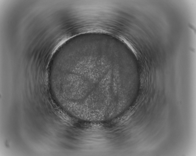 X0000096160975200802081430